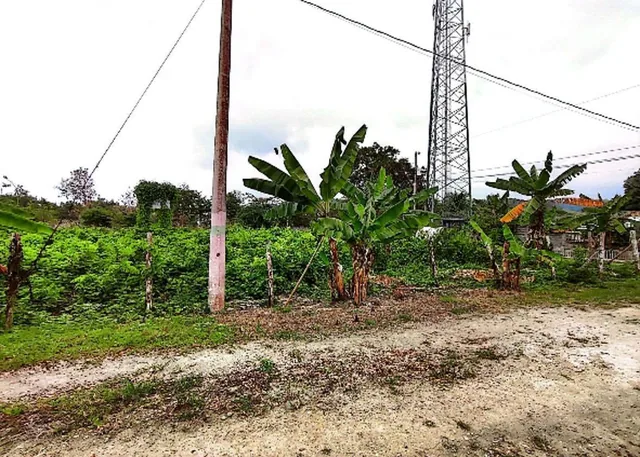 Lote de Terreno en Same — imagen 4
