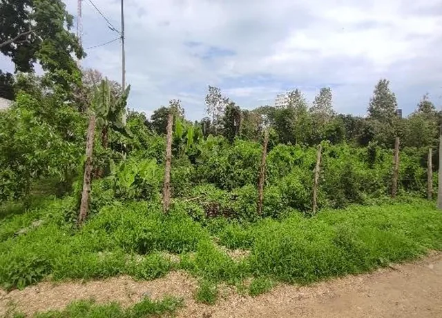 Lote de Terreno en Same — imagen 3
