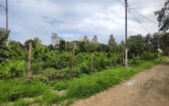 Lote de Terreno en Same — imagen 2