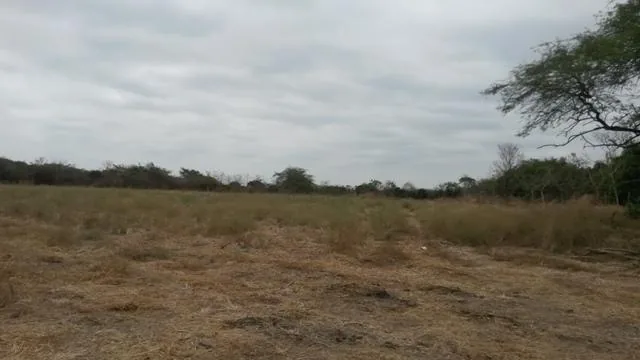 Terreno Cerca del Nuevo Aeropuerto, Precio Negociable, Guayas — imagen 4