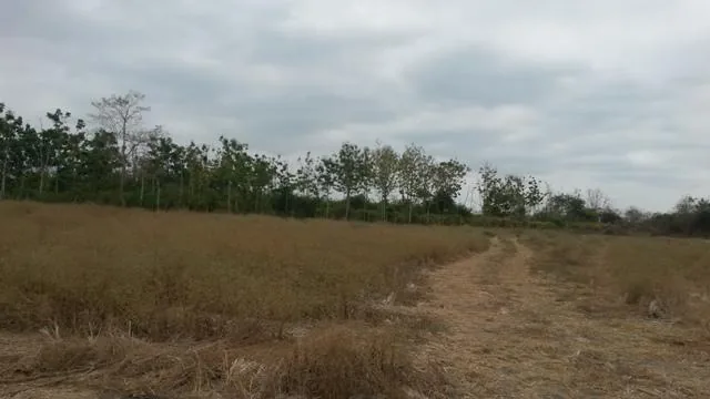 Terreno Cerca del Nuevo Aeropuerto, Precio Negociable, Guayas — imagen 3