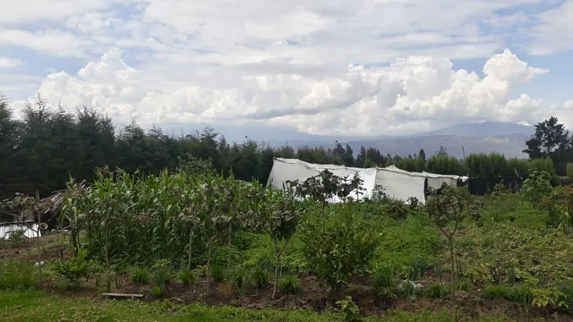 Vendo Propiedad en El Quinche - Sector La Esperanza — imagen 5