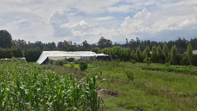 Vendo Propiedad en El Quinche - Sector La Esperanza — imagen 3