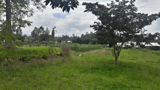 Vendo Propiedad en El Quinche - Sector La Esperanza — imagen 2