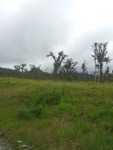 Vendo 58hc en Cosanga - Las Caucheras, Napo — imagen 5