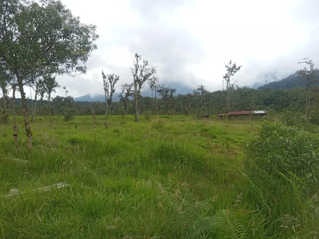 Vendo 58hc en Cosanga - Las Caucheras, Napo — imagen 4
