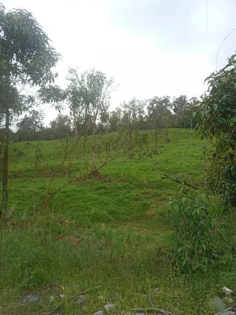 Vendo 58hc en Cosanga - Las Caucheras, Napo — imagen 2