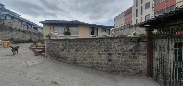 Se Vende Terreno Sector Av Occidental — imagen 3