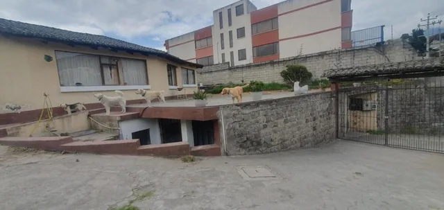 Se Vende Terreno Sector Av Occidental — imagen 2