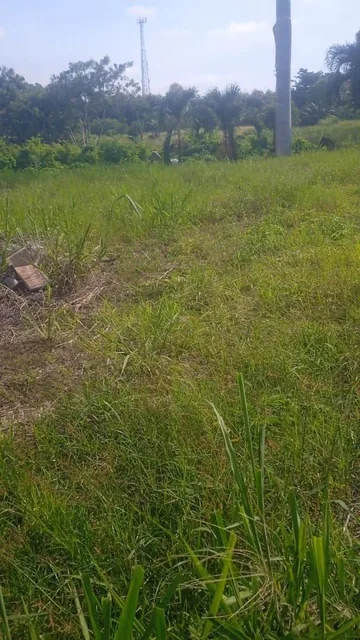 Se Vende Terreno en Casa Blanca - Same - Esmeraldas — imagen 4