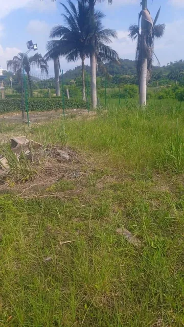 Se Vende Terreno en Casa Blanca - Same - Esmeraldas — imagen 3