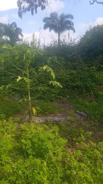 Se Vende Terreno en Casa Blanca - Same - Esmeraldas — imagen 2