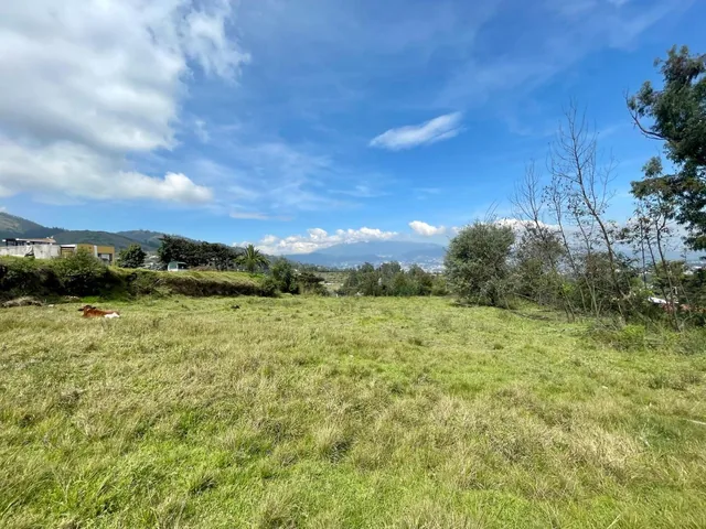Terreno en Venta en Illaló - Tumbaco — imagen 5