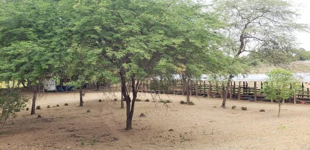 En Venta Finca en Vía a La Costa - Chongón - K. Aguirre, Guayas — imagen 4