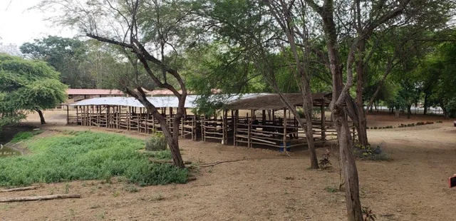 En Venta Finca en Vía a La Costa - Chongón - K. Aguirre, Guayas — imagen 3