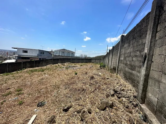 Terreno Grande en Bellavista - 3 Solares en 1 - con Cerramiento y Vereda, Guayas — imagen 3