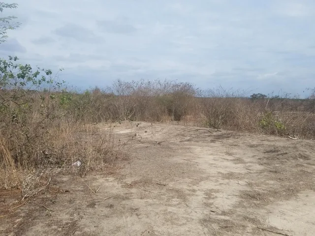 Macrolote en Venta en La Vía a San Vicente, Santa Elena — imagen 4