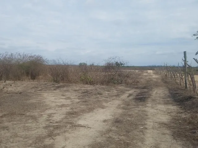 Macrolote en Venta en La Vía a San Vicente, Santa Elena — imagen 3
