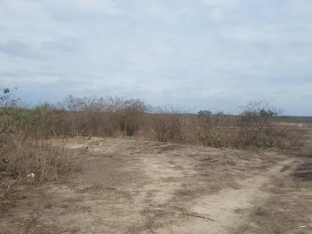 Macrolote en Venta en La Vía a San Vicente, Santa Elena — imagen 2