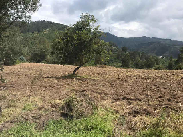 Terreno en Venta en Lumbisi, Cumbaya 6000 m, Excelente Ubicación y Precio — imagen 3
