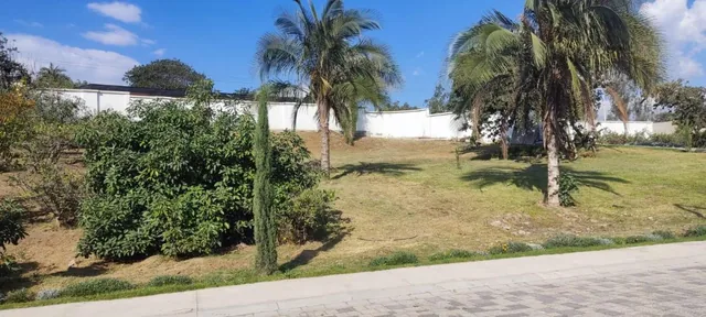 Disfruta de Vivir en Puembo — imagen 3