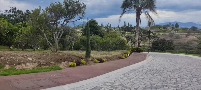 Disfruta de Vivir en Puembo — imagen 2