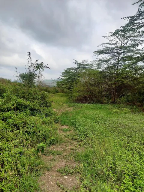 Venta de Terreno 20200 m² Comercial o de Vivienda en Via a La Costa Km 20, Guayas — imagen 5