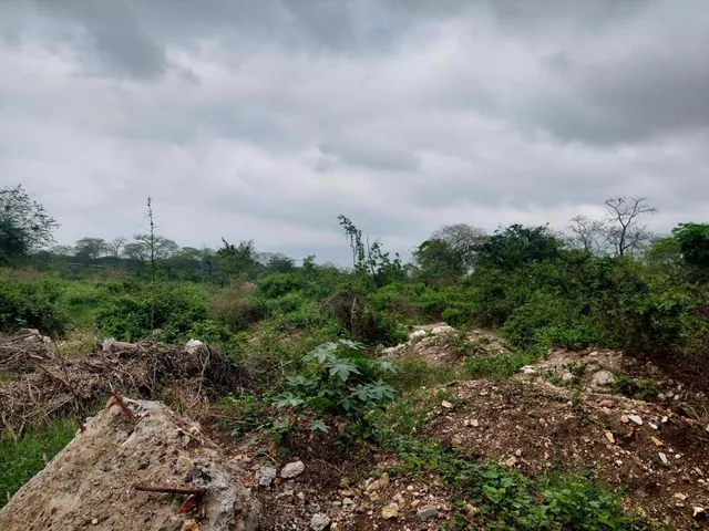 Venta de Terreno 20200 m² Comercial o de Vivienda en Via a La Costa Km 20, Guayas — imagen 4