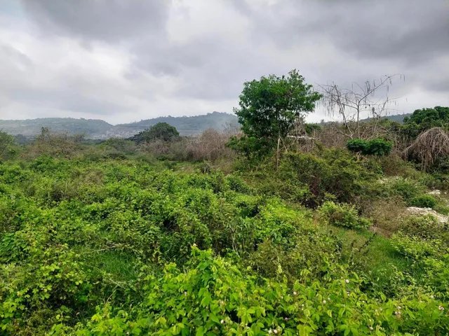 Venta de Terreno 20200 m² Comercial o de Vivienda en Via a La Costa Km 20, Guayas — imagen 3