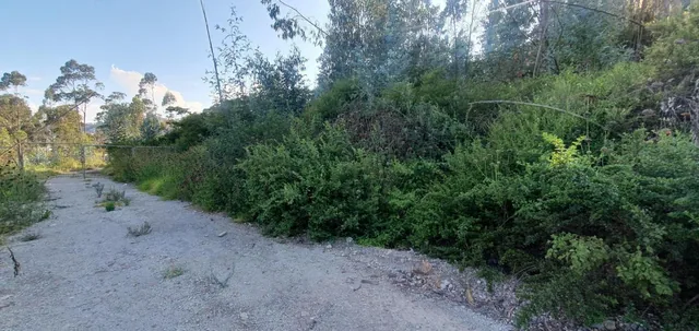 Se Vende Terreno Sector Panamericana Norte - Centro Comercial Shopping — imagen 5