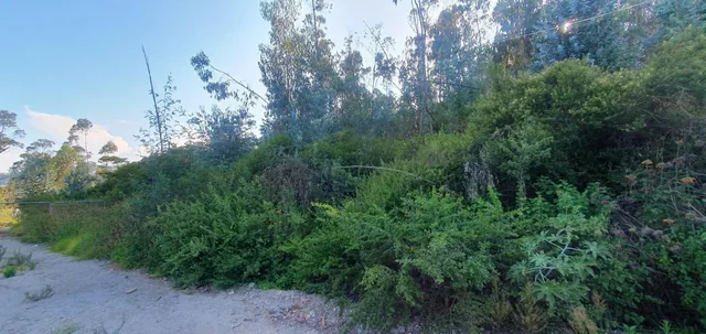 Se Vende Terreno Sector Panamericana Norte - Centro Comercial Shopping — imagen 4
