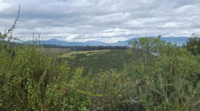 Se Vende Terreno en El Sector de Pifo El Inga - Carretera E35 — imagen 3