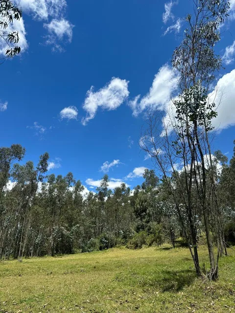 Hermoso Terreno de Venta en Amaguaña — imagen 5