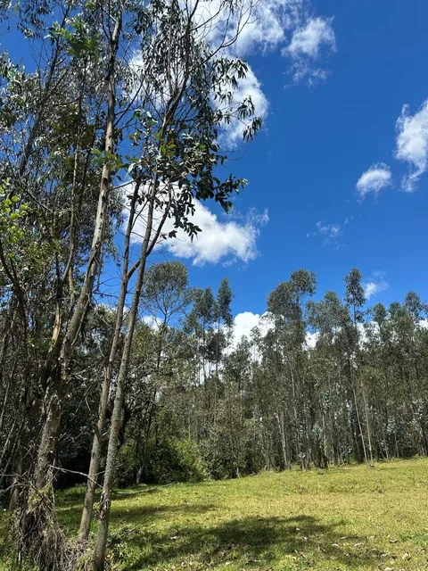 Hermoso Terreno de Venta en Amaguaña — imagen 4