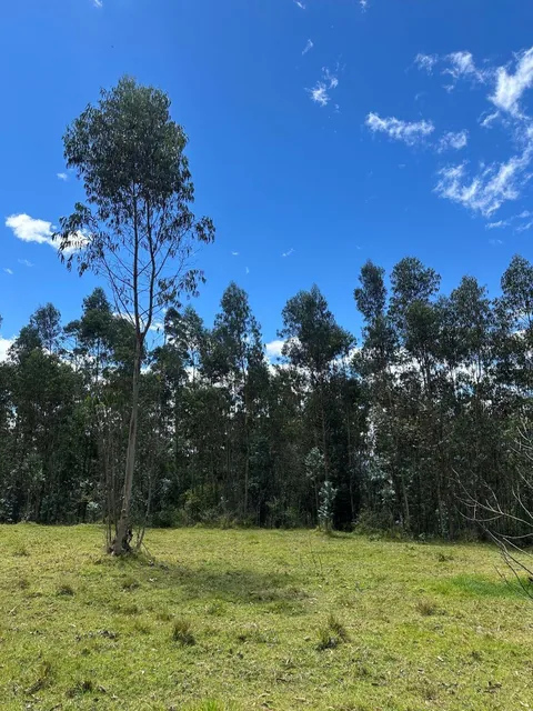 Hermoso Terreno de Venta en Amaguaña — imagen 2