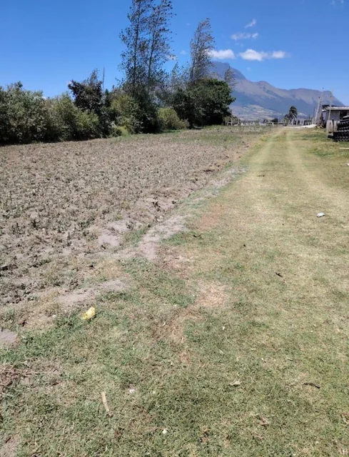 Terreno en Venta de 1500 m² en Cotacachi, Imbabura — imagen 4