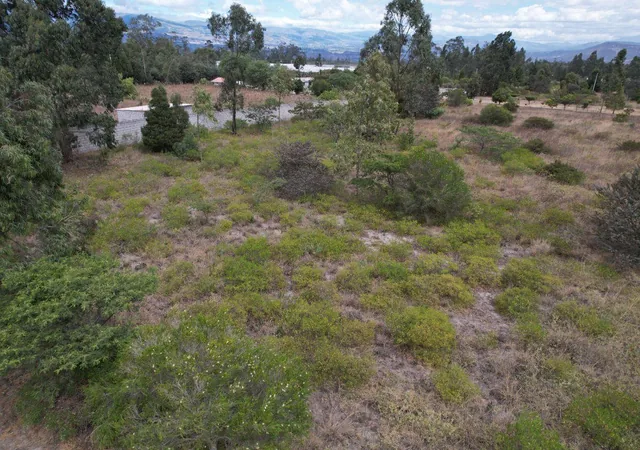 Terreno de Venta en Malchingui 2.000 m² Urbanización en Vía Principal — imagen 5