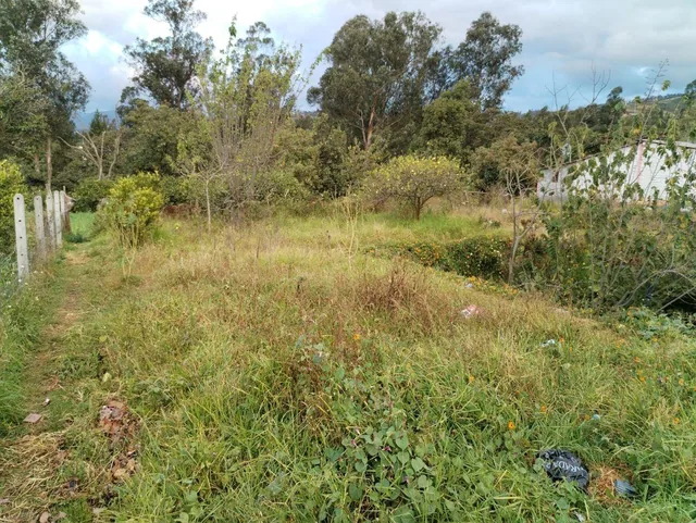 Lote de Terreno de Venta en Tumbaco — imagen 5