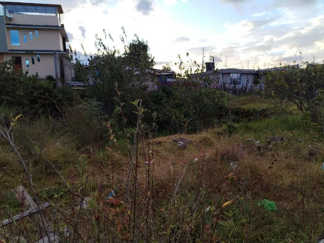 Lote de Terreno de Venta en Tumbaco — imagen 3