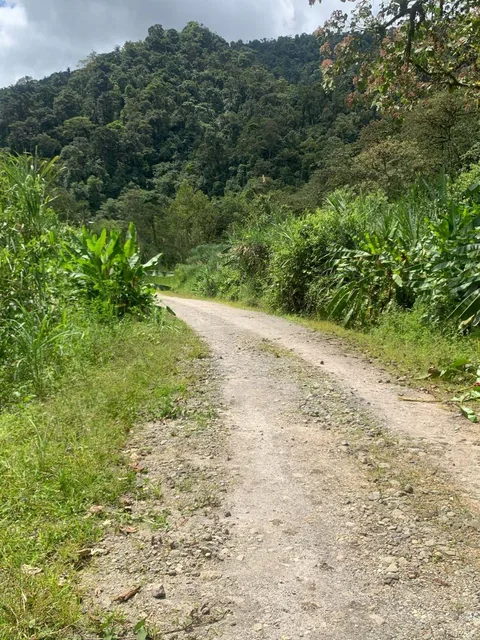 Terreno Venta Mindo Sector Pura Vida — imagen 3