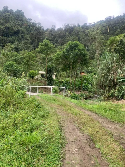 Terreno Venta Mindo Sector Pura Vida — imagen 2