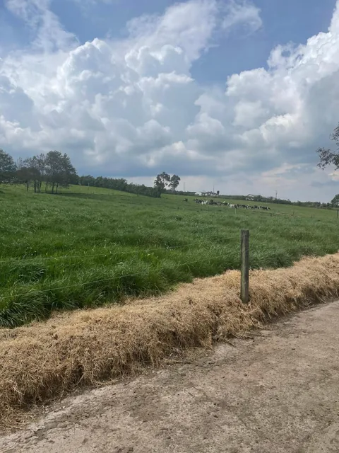 Terreno con Usos: Ganadero, Floricola, Vivienda en Tambillo — imagen 5