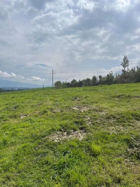 Terreno con Usos: Ganadero, Floricola, Vivienda en Tambillo — imagen 4