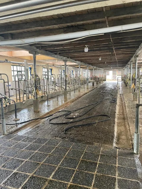 Terreno con Usos: Ganadero, Floricola, Vivienda en Tambillo — imagen 3