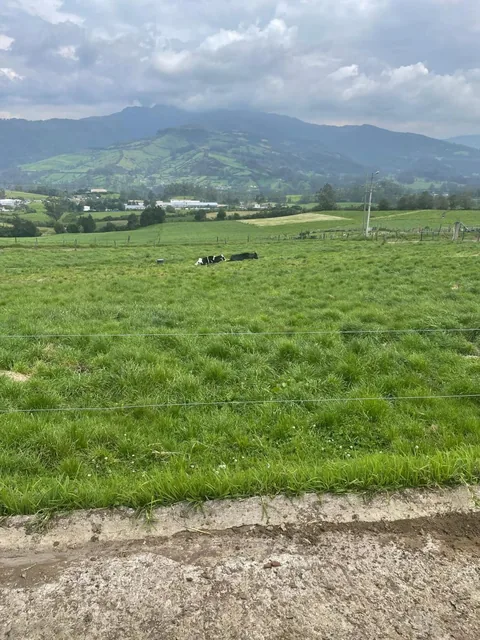 Terreno con Usos: Ganadero, Floricola, Vivienda en Tambillo — imagen 2