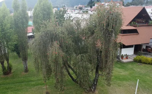 Se Vende Propiedad en El Valle de Los Chillos — imagen 5