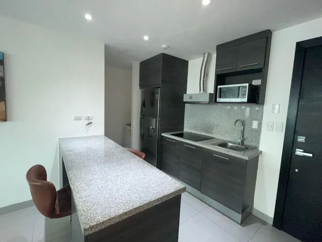 Vendo Departamento Amoblado Edificio Quo, Guayas — imagen 2