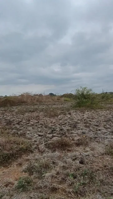 Venta Terreno 1400 m² Durán Fincas Delia Gins, Guayas — imagen 4