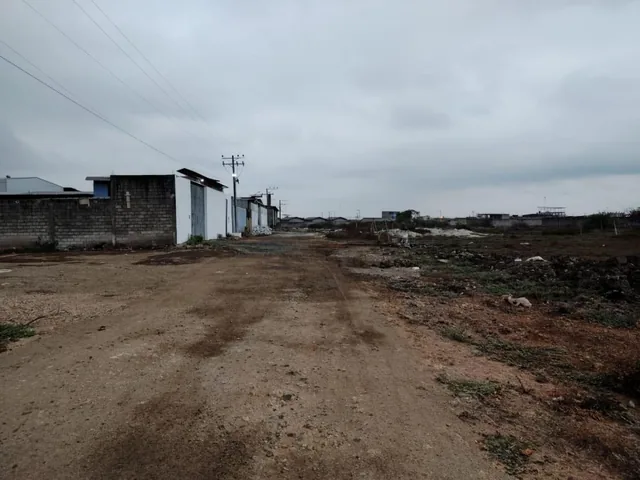 Venta Terreno 1400 m² Durán Fincas Delia Gins, Guayas — imagen 3