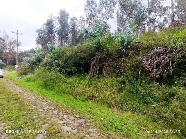 Venta en Huerto Familiar — imagen 3